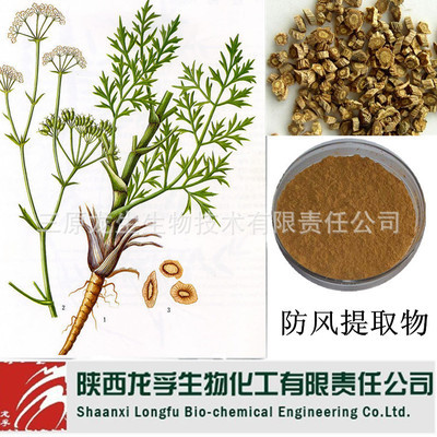 【铜芸/回云/回草/百枝/百种/防风提取物】价格,厂家,图片,植物提取物,三原龙生生物技术有限责任公司-