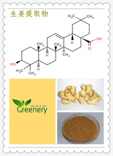 植物提取物-【行业推荐】厂家批发生姜提取物-5%姜辣素-西安绿泽在线供应-植物提.