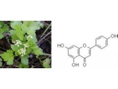 芹菜素 芹黄素_提取物_深加工类_供应_食品伙伴网