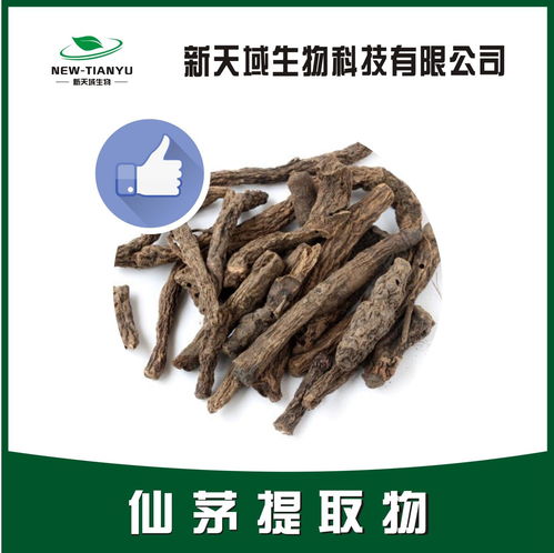 汕头仙茅提取物厂 地棕提取物 植物提取物